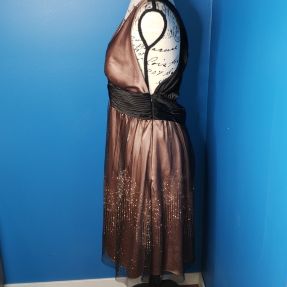 Adrianna Papell Boutique Pink Formal w/ black tule - Picture 4 of 8